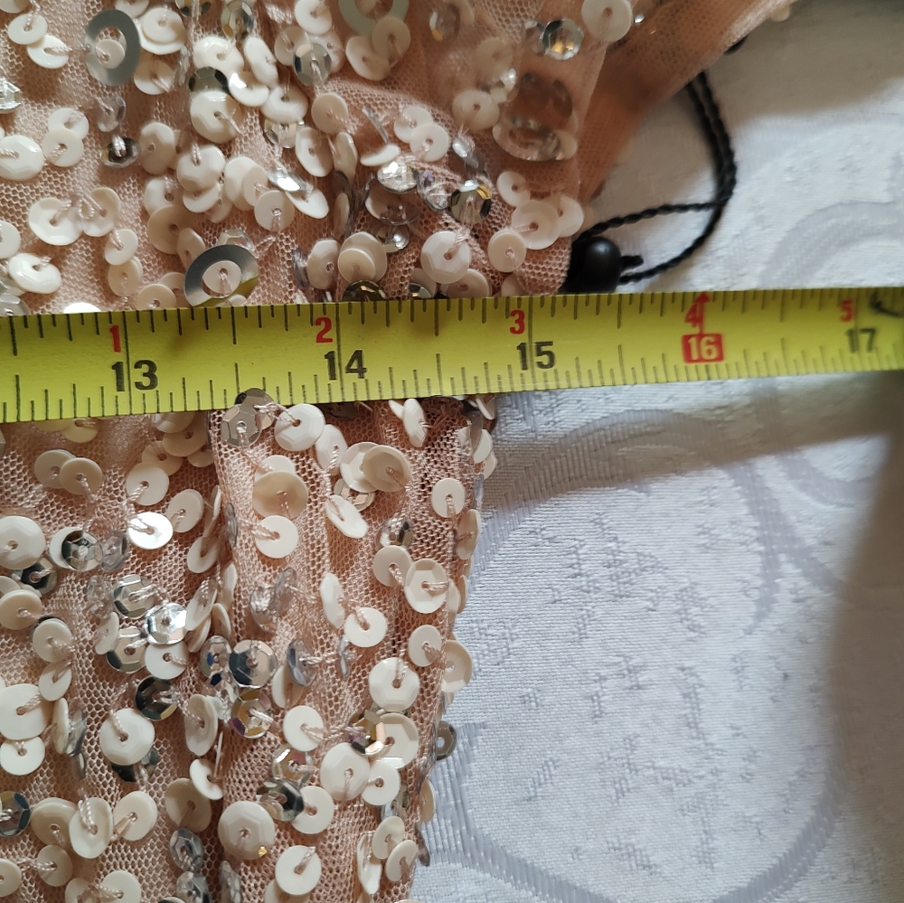 Adrianna Papell Formal Sequin Dress Sz 2 Champagne Beige Train - Picture 9 of 11